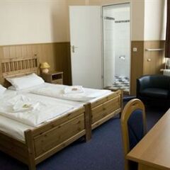 Hotel Pension Rheingold 2* Стандартный номер с различными типами кроватей фото 2
