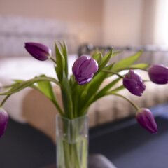 Hotel Esprit интерьер отеля