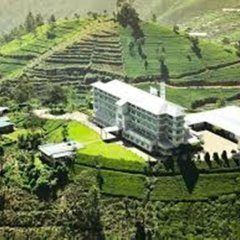 Отель Tea & Experience Factory Шри-Ланка, Амбевелла - отзывы, цены и фото номеров - забронировать отель Tea & Experience Factory онлайн фото 3
