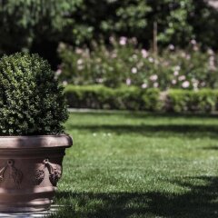 Отель Villino di Porporano Парма фото 16