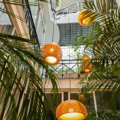Отель Ohana Hotel Вьетнам, Ханой - отзывы, цены и фото номеров - забронировать отель Ohana Hotel онлайн фото 12