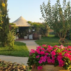 Отель Agriturismo Torre Flavia Италия, Ладисполи - отзывы, цены и фото номеров - забронировать отель Agriturismo Torre Flavia онлайн фото 8