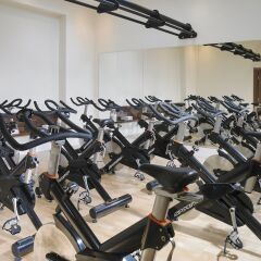 Castleknock Hotel фитнесс-зал