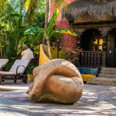 Отель Tropicana Inn Мексика, Сан-Хосе-дель-Кабо - отзывы, цены и фото номеров - забронировать отель Tropicana Inn онлайн фото 9