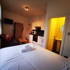 Апартаменты London Euston Luxury Apartments Лондон удобства в номере