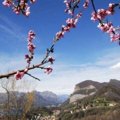 Отель Albergo Ristorante Carenno Италия, Каренно - отзывы, цены и фото номеров - забронировать отель Albergo Ristorante Carenno онлайн приотельная территория фото 2