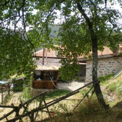 Отель Erendgikov's House Болгария, Чепеларе - отзывы, цены и фото номеров - забронировать отель Erendgikov's House онлайн фото 14