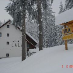Bed and Breakfast Vila Lala in Jahorina, Bosnia and Herzegovina from 163$, photos, reviews - zenhotels.com photo 3