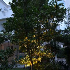 Отель Casablanca Apartments Черногория, Будва - отзывы, цены и фото номеров - забронировать отель Casablanca Apartments онлайн фото 3
