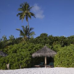 Отель Coco Palm Dhuni Kolhu пляж фото 3