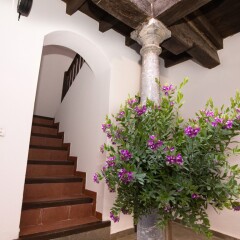 Отель Apartamentos Nahira Suites 3000 фото 19