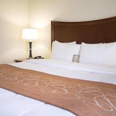 Comfort Suites San Antonio North - Stone Oak in San Antonio, United States of America from 112$, photos, reviews - zenhotels.com guestroom