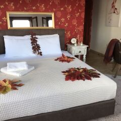 Matiana Hotel Патара комната для гостей фото 3