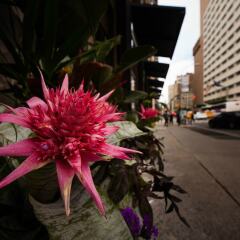 Отель Duane Street Hotel Tribeca США, Нью-Йорк - отзывы, цены и фото номеров - забронировать отель Duane Street Hotel Tribeca онлайн фото 3