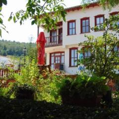Отель Dvata Brjasta Family Hotel Болгария, Асеновград - отзывы, цены и фото номеров - забронировать отель Dvata Brjasta Family Hotel онлайн фото 6