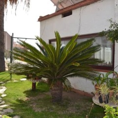 Отель Hostal Casa Torrent фото 3