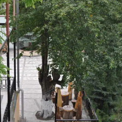 Отель Casanova Inn
