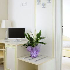 Отель Residence Suite Smeraldo Италия, Риччоне - отзывы, цены и фото номеров - забронировать отель Residence Suite Smeraldo онлайн удобства в номере фото 2