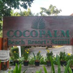 Отель Coco Palm Beach Resort
