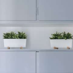 Апартаменты Syntagma Square Apartments by Livin Urbban гостиничный бар