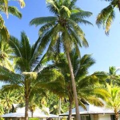 Naigani Island Resort in Korovou, Fiji from 460$, photos, reviews - zenhotels.com photo 2