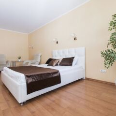 Апартаменты Apartment on Belinskogo 34 комната для гостей