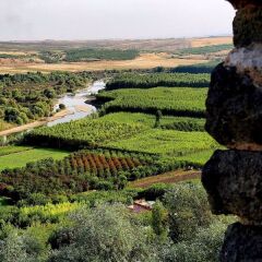 Ramada BY Wyndham Diyarbakir Турция, Диярбакыр - отзывы, цены и фото номеров - забронировать отель Ramada BY Wyndham Diyarbakir онлайн с домашними животными