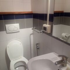 Отель Guest House Esha ванная