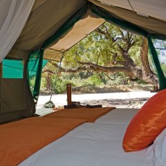 Sango Wildlife Lodge in Chiredzi, Zimbabwe from 332$, photos, reviews - zenhotels.com guestroom photo 3