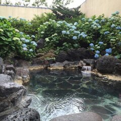 Kitaguni Grand Hotel Rebun бассейн