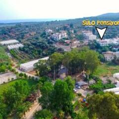 Sulo Pansiyon Турция, Патара - отзывы, цены и фото номеров - забронировать отель Sulo Pansiyon онлайн фото 2