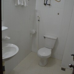 Thuy Linh Hotel Halong ванная
