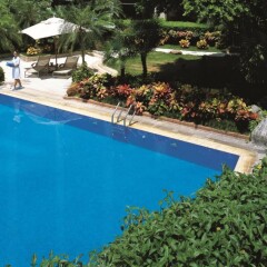 Отель Shangri-la Hotel, Shenzhen Китай, Шэньчжэнь - отзывы, цены и фото номеров - забронировать отель Shangri-la Hotel, Shenzhen онлайн бассейн фото 2