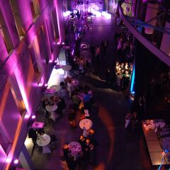 Отель Radisson Blu Hotel, Cologne Германия, Кёльн - 8 отзывов об отеле, цены и фото номеров - забронировать отель Radisson Blu Hotel, Cologne онлайн развлечения