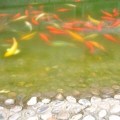 Noahs Hotel Suzhou фото 4