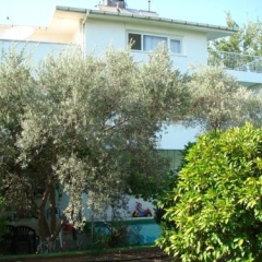 Отель Antalya Farm House