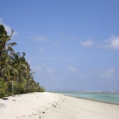 Alaya Inn in North Male Atoll, Maldives from 423$, photos, reviews - zenhotels.com photo 3