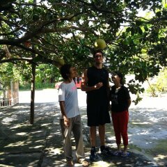 Отель Gia Bao Phat Homestay фото 3