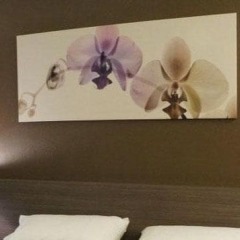 Отель Avatar Residence Бангкок питание фото 3