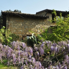 Отель La Casa sulla Collina d'Oro Пьяцца-Армерина фото 3