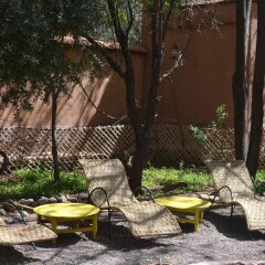 Отель Ecolodge - La Palmeraie Марокко, Уарзазат - отзывы, цены и фото номеров - забронировать отель Ecolodge - La Palmeraie онлайн фото 15
