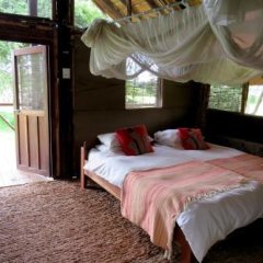 Croc Valley Camp in South Luangwa National Park, Zambia from 61$, photos, reviews - zenhotels.com guestroom photo 4