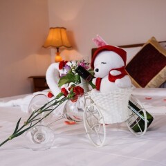Отель Vy Hoa Hoi An Villas в номере