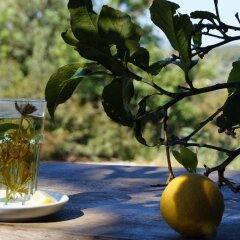 Xanthos Patara Турция, Патара - отзывы, цены и фото номеров - забронировать отель Xanthos Patara онлайн