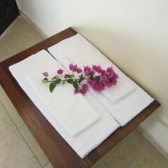 Xanthos Boutique Hotel Patara Турция, Патара - отзывы, цены и фото номеров - забронировать отель Xanthos Boutique Hotel Patara онлайн удобства в номере