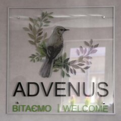 Advenus Hotel сауна