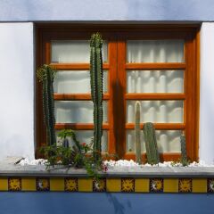 Отель Parque Mexico Мехико спа
