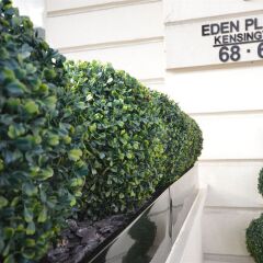 Eden Plaza Kensington Hotel городской автобус