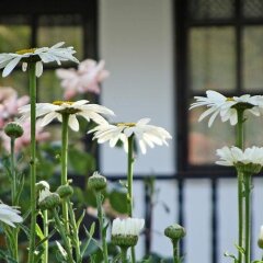 Villa Rhapsody Pension Турция, Фетхие - отзывы, цены и фото номеров - забронировать отель Villa Rhapsody Pension онлайн спа