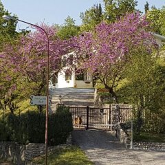Отель Villa Poggio Ulivo B&B Relais Риволи-Веронезе развлечения